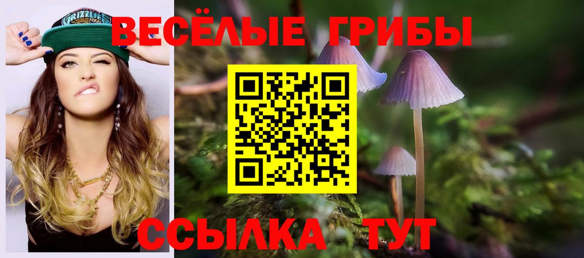 Канаш  Псилоцибиновые грибы Psilocybine cubensis  Псилоцибиновые грибы GOLDEN TEACHER  Вход с VPN 
